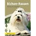 Bichon-Rassen: Premium-Ratgeber. Malteser, Havaneser, Bichon Fris�, Bologneser, L�wchen, Bolonka zwetna, Coton de Tul�ar