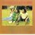 The Meditations - Greatest Hits