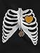 TeeStars - Skeleton Xray Rib Cage Spider Halloween Costume T-Shirt
