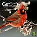 Cardinals 2010 Wall Calendar 12