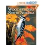 Woodpeckers of North America