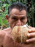 The Road to Hana with Old Machete Marko - Virtual Tour #1 Download The Road to Hana with Old Machete Marko - Virtual Tour #1 Download