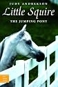 Little Squire the Jumping Pony (True Horse Stories)