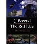 Y Barcud / The Red Kite (Wonder Wales)
