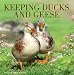Keeping Ducks & Geese