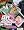 Adult Video News (avn) - April 2006: Loaded With Porn Stars And Movies! Image #1 Adult Video News (avn) - April 2006: Loaded With Porn Stars And Movies! Image #1