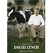 David Lynch