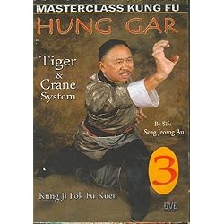 Hungar Kung Fu #3