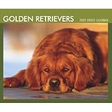 Golden Retrievers 2009 Boxed Calendar