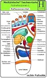 Reflexzonen Set. Medizinische Taschen-Karte: Fussreflexzonen Therapie Fusssohle, Fussr�cken + Seiten, Handreflexzonen Therapie