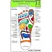 Reflexzonen Set. Medizinische Taschen-Karte: Fussreflexzonen Therapie Fusssohle, Fussr�cken + Seiten, Handreflexzonen Therapie