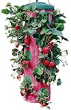 Felknor Ventures TT091112 Topsy Turvy Strawberry Planter (Discontinued by Manufacturer)