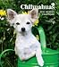 chihuahua35  - Chihuahuas 2010 Hardcover Weekly Engagement