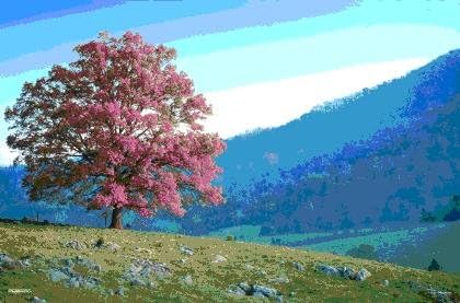 Your Space UK Tree Countryside Seasons 3D Lenticular Moving Poster