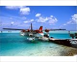 51ygzpdscsL. SL160  10x8 Photograph (25x20cm) DH Twin Otter Maldivian Air Taxi at Male Airport for inter island transfers from Flightglobal Reviews