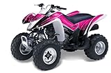 AMR Racing Suzuki LTZ 250 2004-2011 ATV Quad Graphic Kit - Diamond Flame: Pink, Black