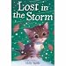 Lost in the Storm