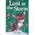 Lost in the Storm