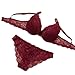 Burvogue Women's Push Up Embroidery Bras Set Lace Lingerie Bra and Panties