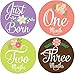 Belly Doodles 16 Baby Month Stickers Flowers