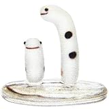 グラスコレクション：チンアナゴシリーズ　チンアナゴペア