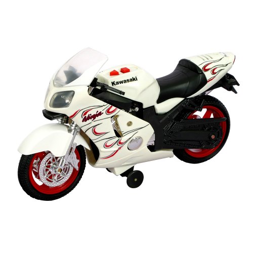 Kawasaki Ninja Road Rippers Wheelie Bike