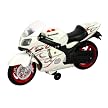 Kawasaki Ninja Road Rippers Wheelie Bike