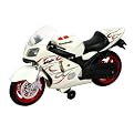 Kawasaki Ninja Road Rippers Wheelie Bike