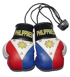 Amazon.com : Philippines Filipino Mini 4" Boxing Gloves Manny Pacman