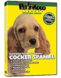 COCKER SPANIEL DVD: Everything You Should Know!  -  Dog & Puppy Training Bonus Included