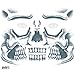 TATTOO SKULL FACE