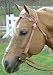 Kickin' Country Square Browband Headstall USA Leather