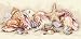 Dimensions Petite Seashell Treasures Ctd X-Stch