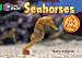 Seahorses: Green/Band 5 (Collins Big Cat)