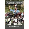 Ethnicity (The New Encyclopedia of Southern Culture) (Paperback)
