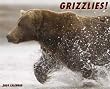 Grizzlies 2009 Wall Calendar