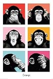 Produkt-Bild: Empire 409256 The Chimp - Pop Poster - 61 x 91.5 cm