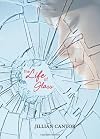 The Life of Glass
