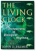 The Living Clock: The Orchestrator of Biological Rhythms