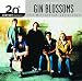 The Best Of Gin Blossoms 20th Century Masters The Millennium Collection