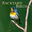 Backyard Birds 2008 Mini Wall Calendar 7"x7"