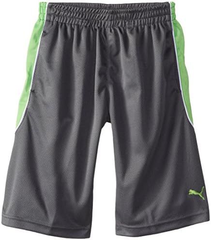 Puma Big Boys' Training Short, Grey/Green, Medium