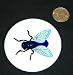 3 button / pin printed with housefly, bug, buzzing, insect, fly