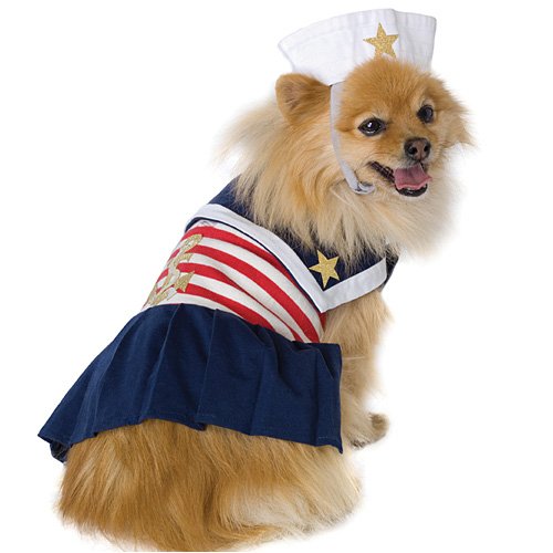 Sailor Sweetie Puppy
