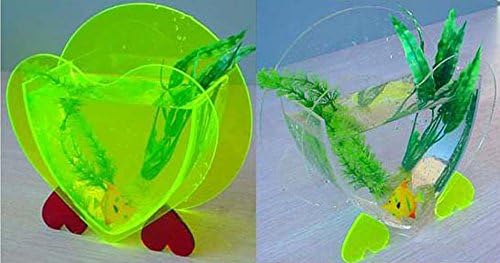 Transparent Acrylic Fish Bowl