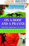 On a Hoof and a Prayer: Exploring Argentina at a Gallop