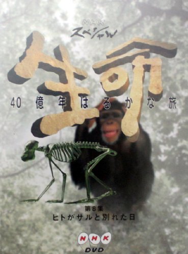 NHKスペシャル 生命40億年はるかな旅 第8集:ヒトがサルと別れた日 大島ミチル 毛利衛 石沢典夫 上田早苗