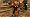 Dark Sector