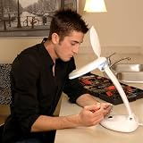 Zon Licht Magnifying Desk Lamp