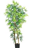 5 &acute; Fancy Style Bamboo Silk Tree - B001DQIY62